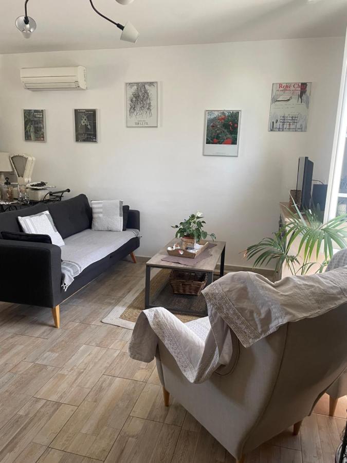 Appartement Avec Jardin En Ville LʼIsle-sur-la-Sorgue Exteriér fotografie